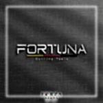 Fortuna_Çalışma Yüzeyi 1