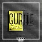 Gurme_Çalışma Yüzeyi 1