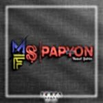 papyon_Çalışma Yüzeyi 1